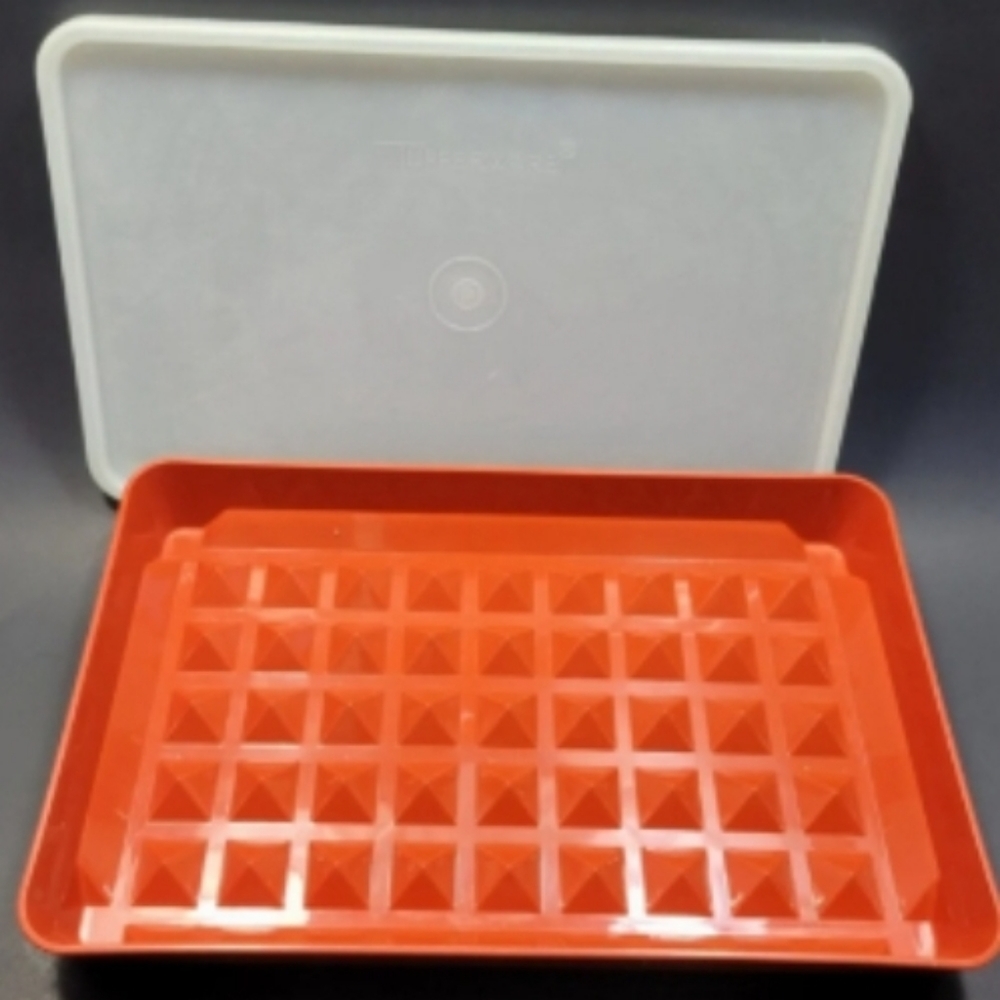 𝅺VTG Tupperware #1292 -2 Meat Hot Dog Bacon Marinade Keeper w/Lid